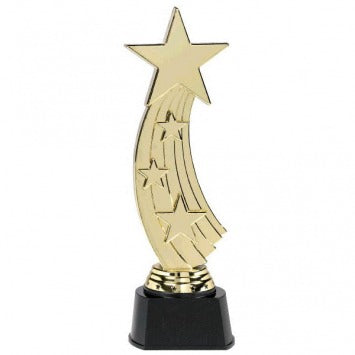 Shooting Star Award 9 1/2in