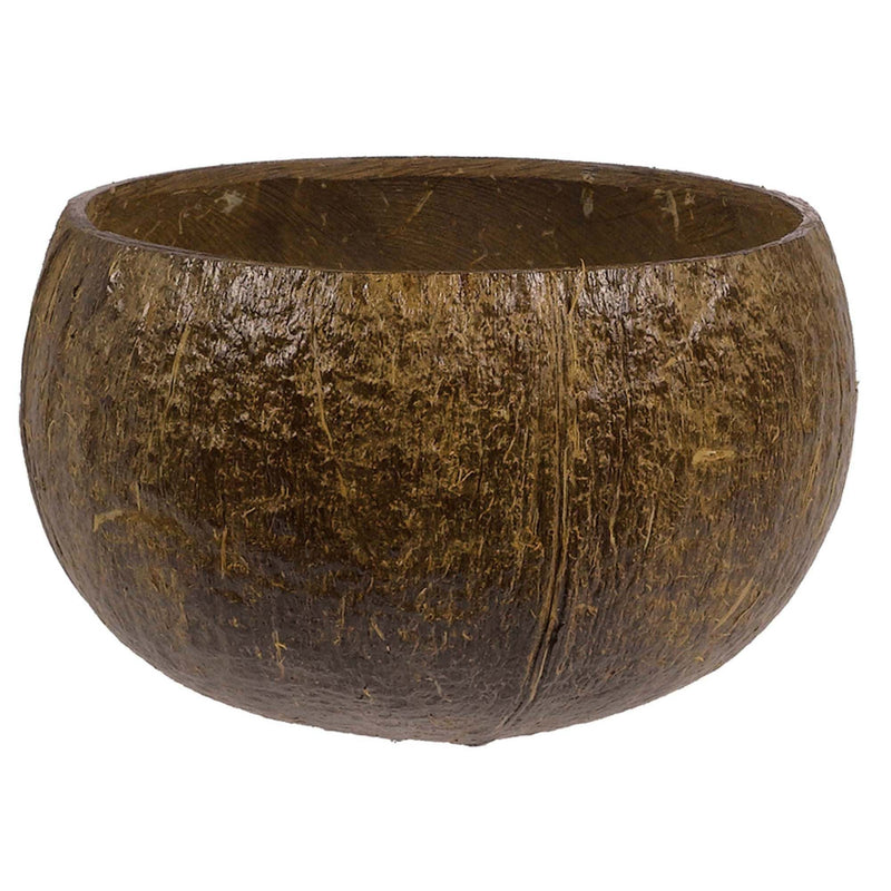 Authentic Coconut Cup 4 oz. - 18 oz. (Due To The Nature Of This Product Capacity May Vary) 1/ct