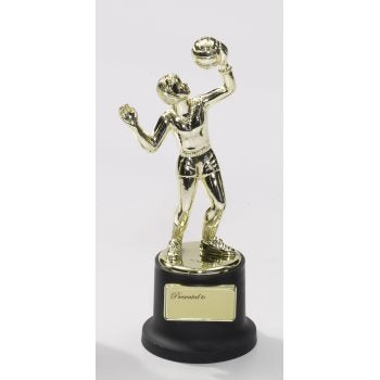 Small Trophy - Volleyball 5in