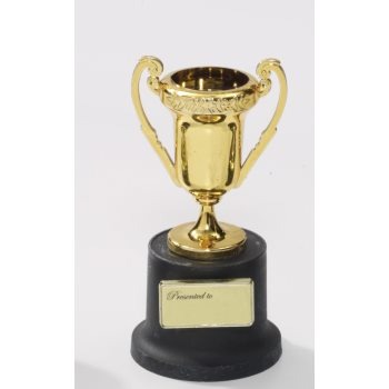 Small Trophy - Loving Cup 3 3/4in