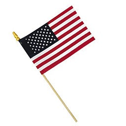 Cloth American Flag 4in X 6in 1/ct