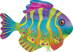 33" Colorful Fish - 626