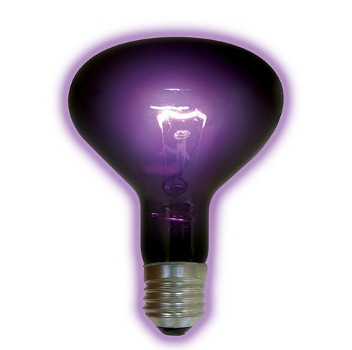 Blacklight Bulb 100 Watt